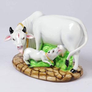 Kamdhenu White