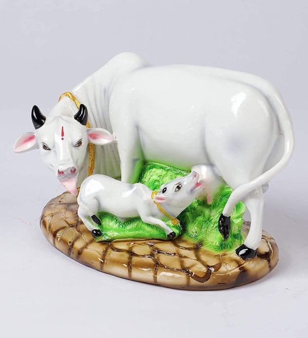 Kamdhenu White