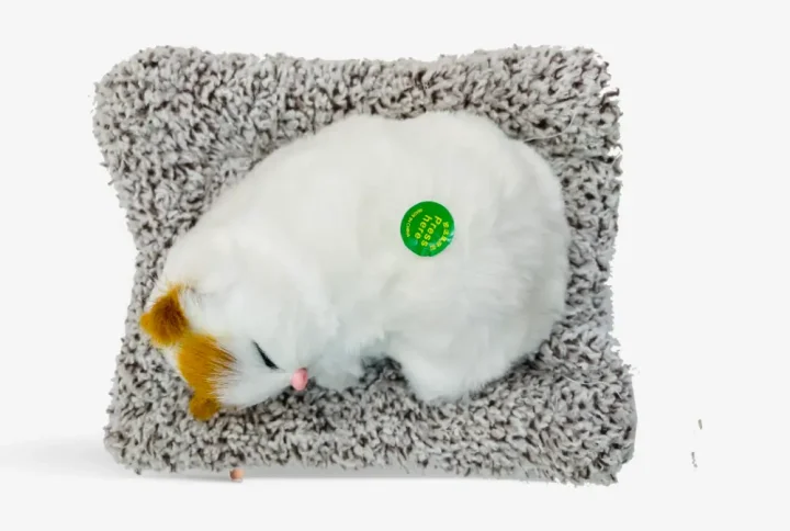 Bring home this Cute Sleeping Cat Toy with Meow Sound – a delightful companion that adds charm and warmth to any space! 🐱✨ Crafted with soft, plush material and realistic detailing, this adorable cat toy looks just like a real sleeping kitten. With a gentle meow sound, it captures the hearts of kids and cat lovers alike. Perfect as a gift for children, a decorative showpiece, or a table décor item, it brings joy and coziness to bedrooms, living rooms, or offices. A sweet reminder of love, comfort, and cuteness — this toy is sure to make anyone smile!